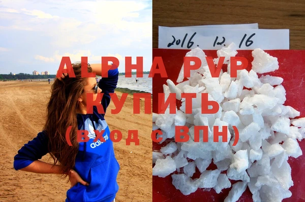 сатива Алзамай