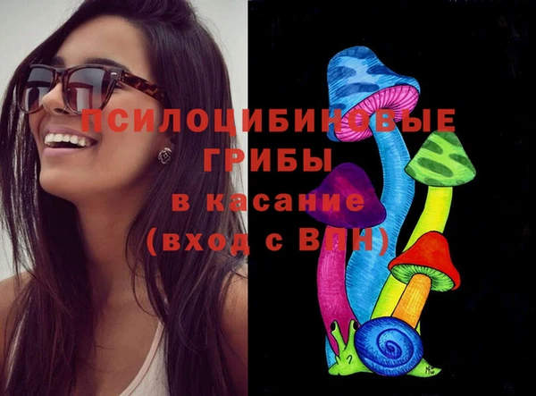 сатива Алзамай