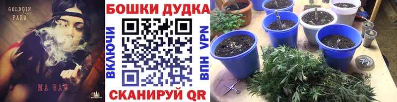Канабис Bruce Banner  Курск 